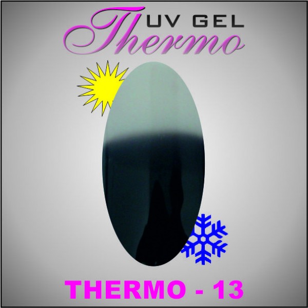 Gel Color Thermo 5g #13